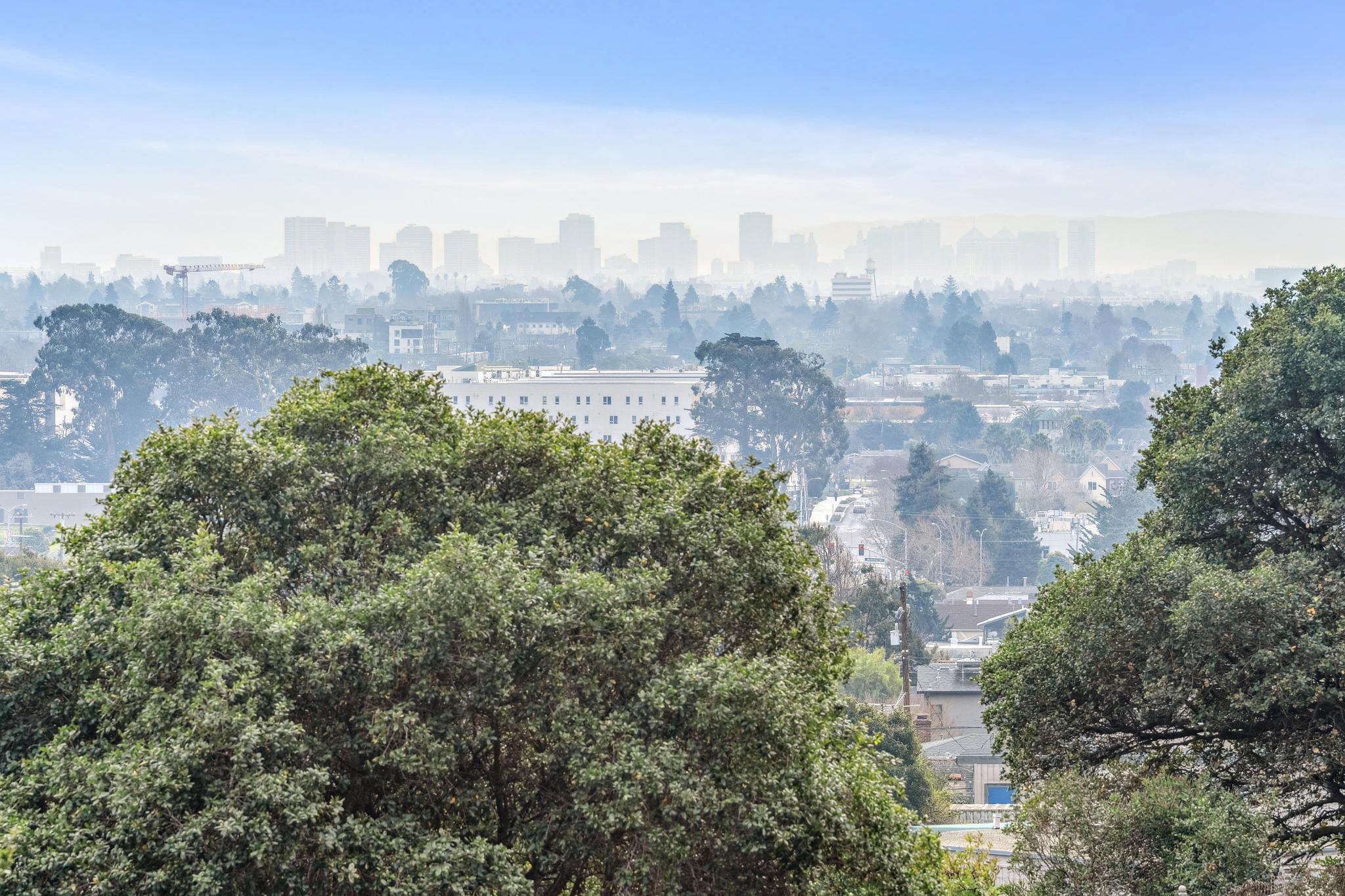953 Hillside Avenue Albany, CA 94706 - Photo 14 of 48 a view of a city with tall buildings in the background