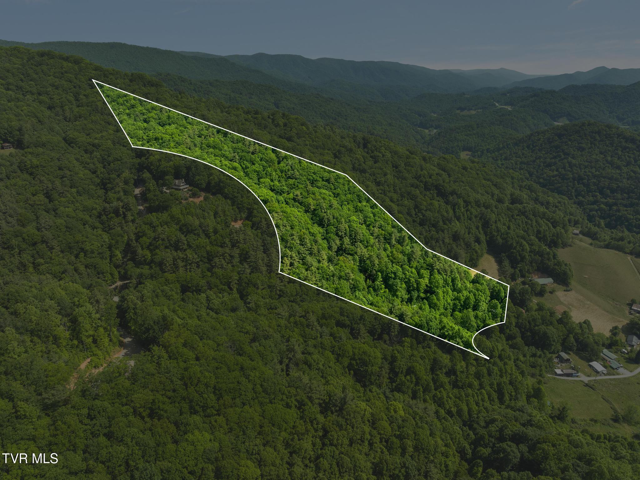 685 Tipton Branch Road Flag Pond, TN 37657 - Photo 2 of 16 Aerial plat(lines estmated)
