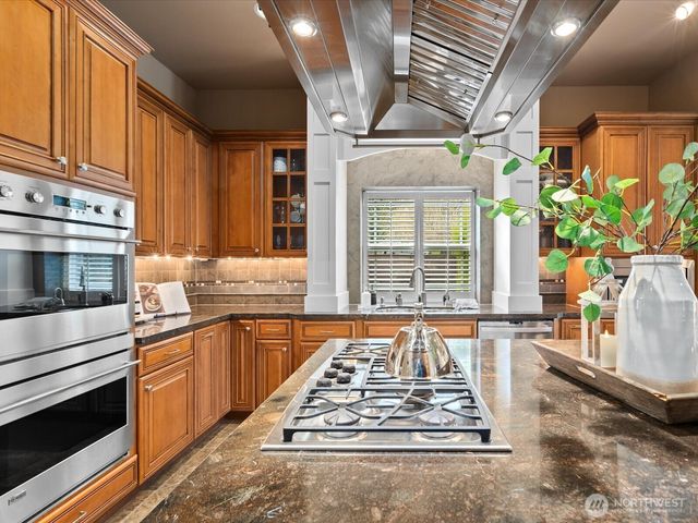 a view of kitchen with granite countertop stove top oven and potted plant