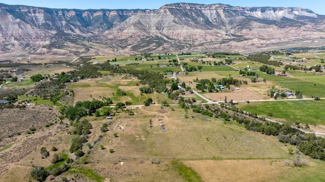 a view of a bunch of trees and houses