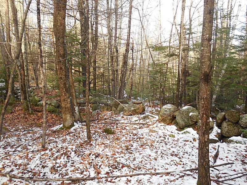 938 Edes Falls Road Harrison, ME 04040 - Photo 21 of 29 Land. Rock Walls