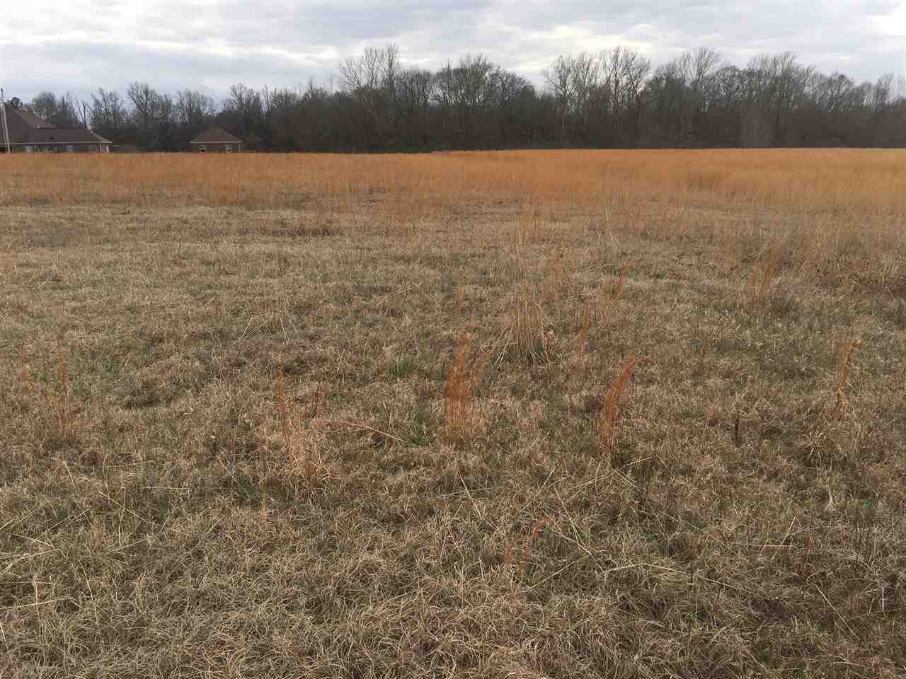 0 Sharon Road, Unit TRACT 8 SUMMERFIELD FARMS Canton, MS 39046 - Photo 5 of 6 Photo 5