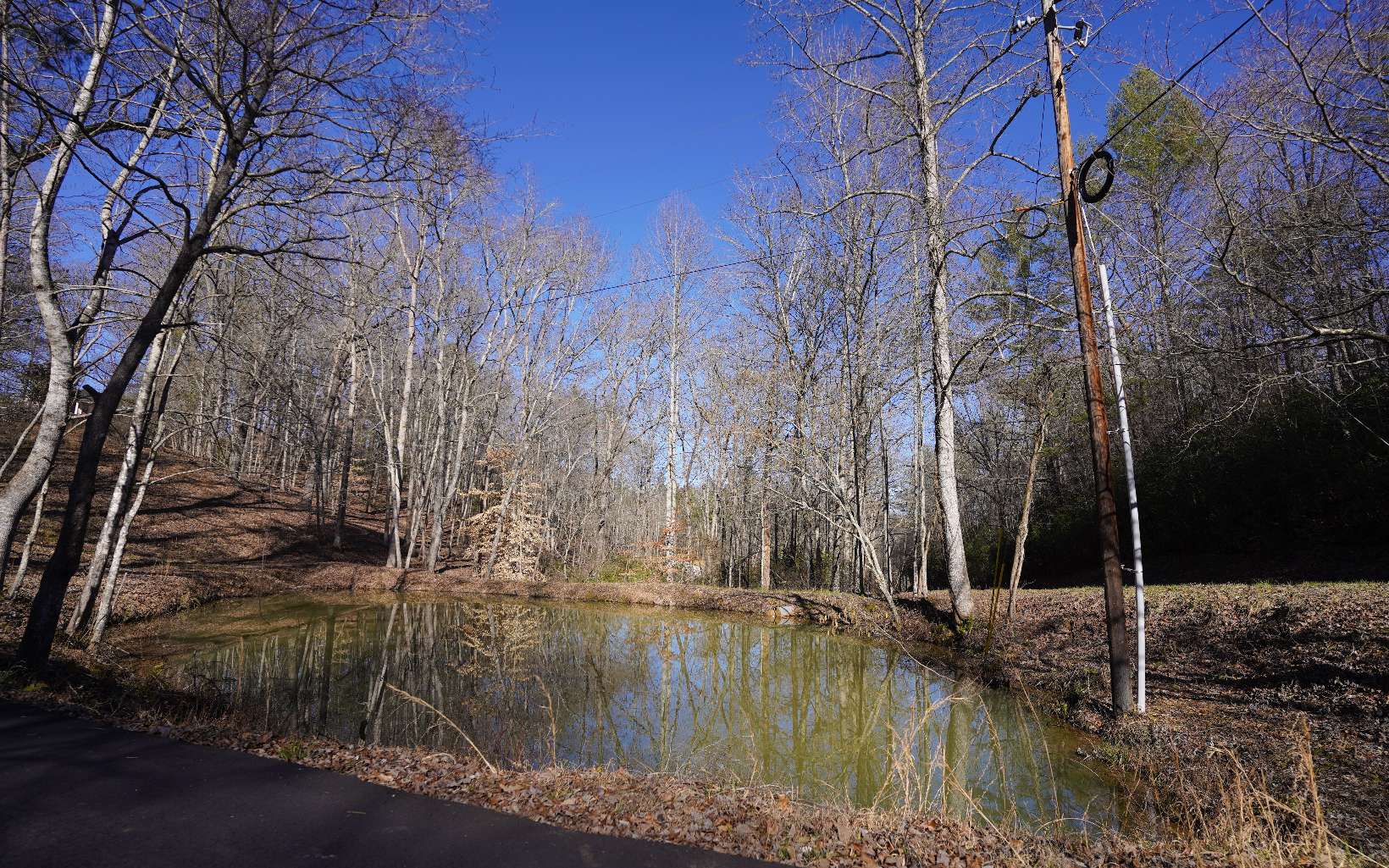 Lot D Dills Road Blue Ridge, GA 30513 - Photo 22 of 25 Additional View