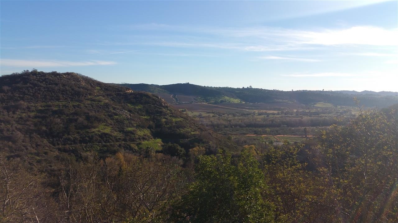 4026 Monserate Hill Road Fallbrook, CA 92028 - Photo 3 of 23