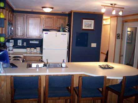 67 Powderidge Road Snowshoe, WV 26209 - Photo 2 of 5 kitchen