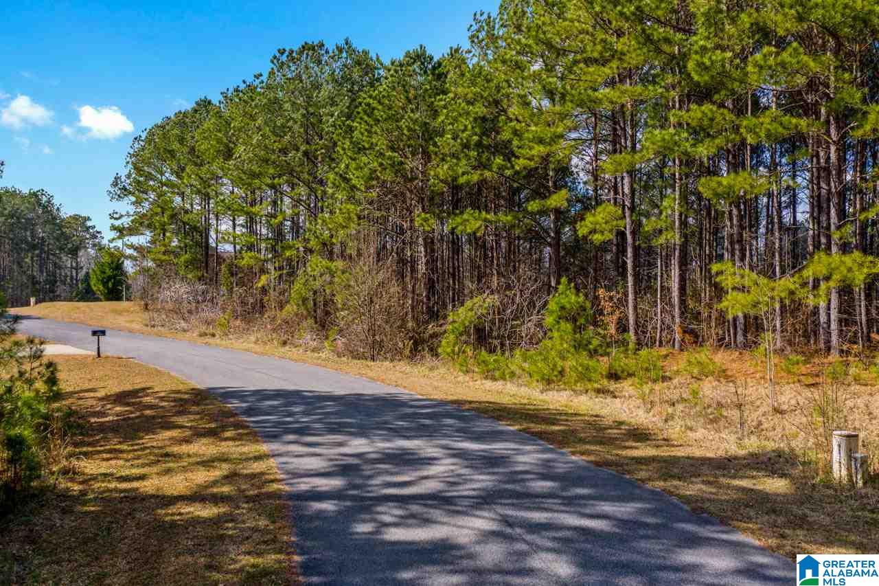 Cottage Square Loop Sylacauga, AL 35151 - Photo 2 of 11