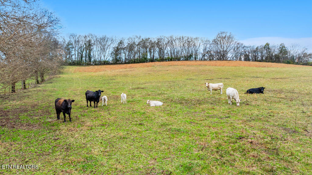 0 Asbury Road Knoxville, TN 37914 - Photo 7 of 15 DJI_0673-HDR