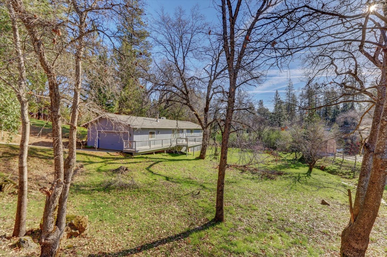 17543 Norlene Way Grass Valley, CA 95949 - Photo 1 of 1 a backyard of a house with a yard and large trees