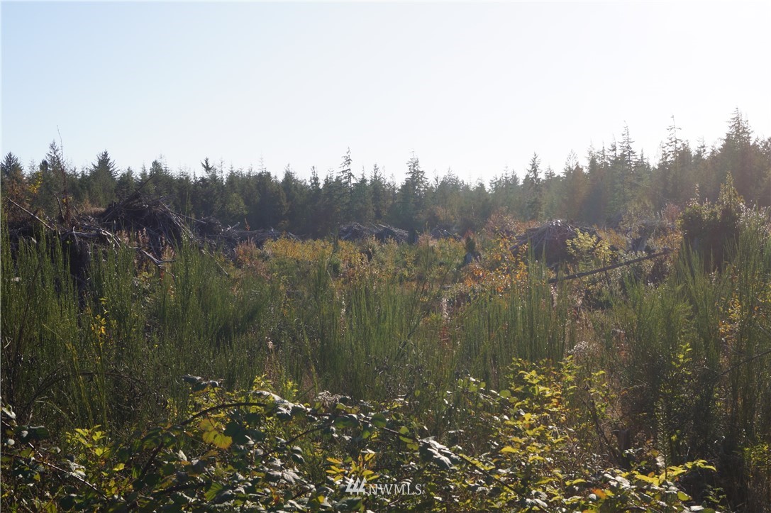 2319 Ocean Beach Road Copalis Crossing, WA 98536 - Photo 14 of 16 Gallery Image 14