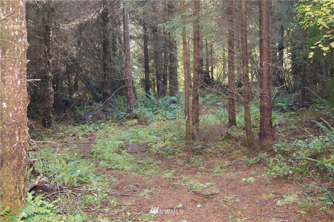 2319 Ocean Beach Road Copalis Crossing, WA 98536 - Photo 9 of 16 Gallery Image 9