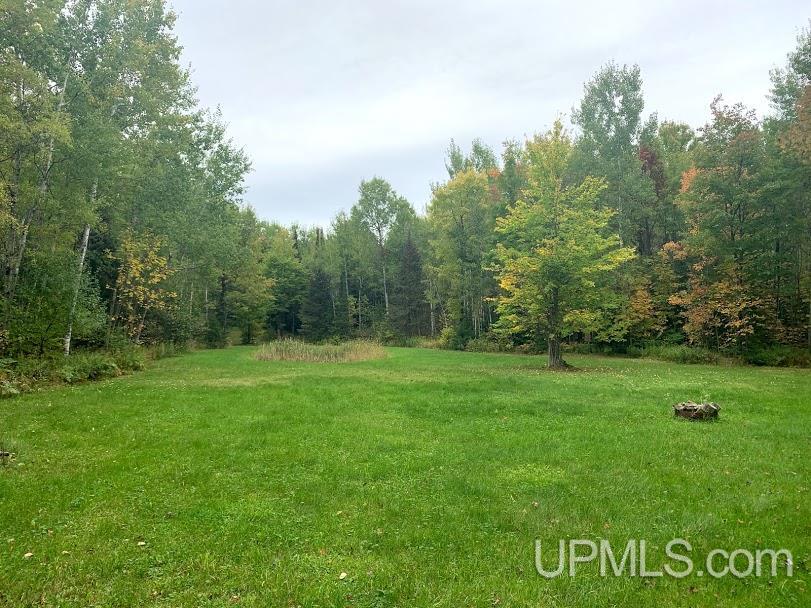 N15751 40 Road Rock, MI 49880 - Photo 3 of 13