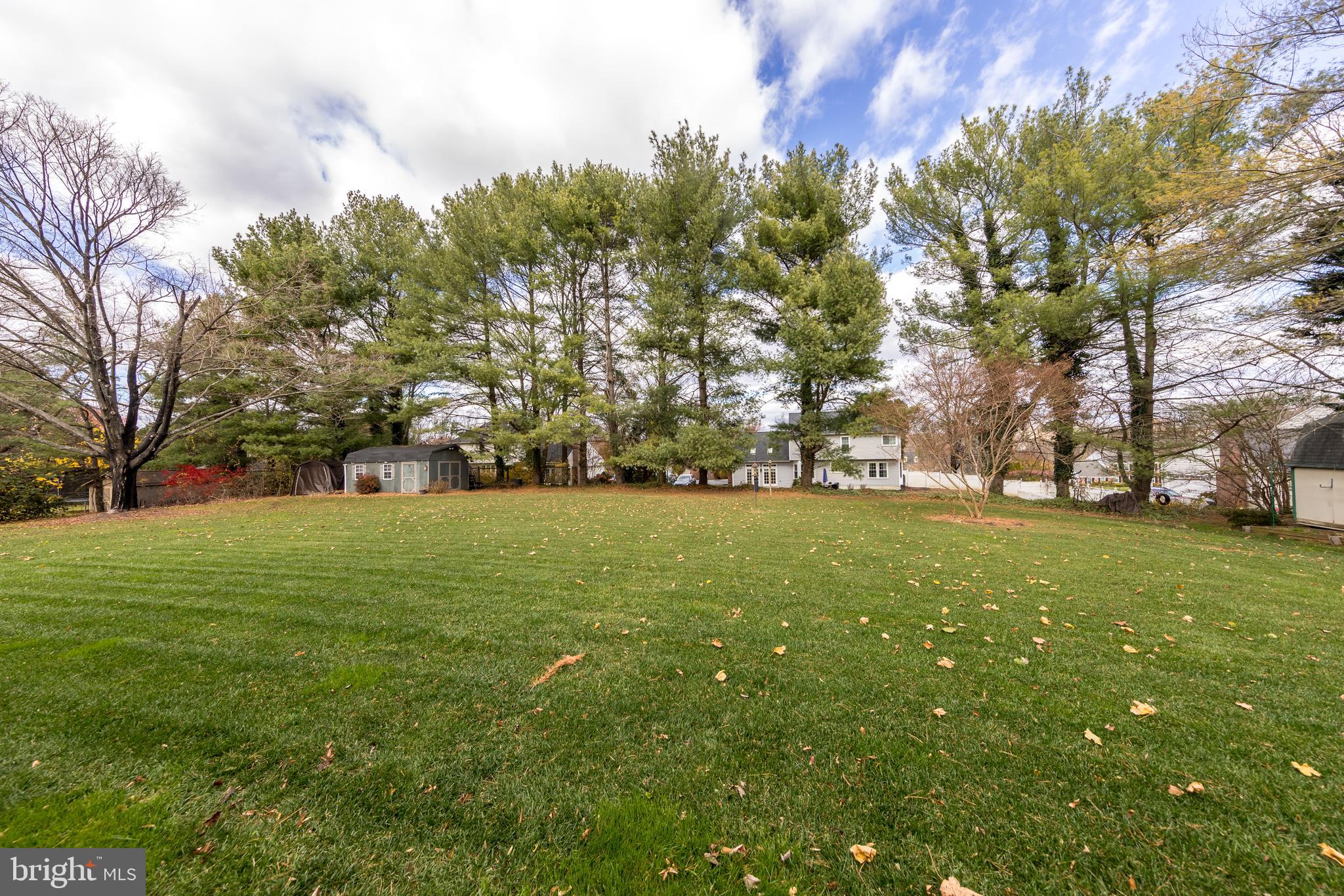 2502 Lady Ann Court Churchville, MD 21028 - Photo 42 of 48 a view of yard with tree s