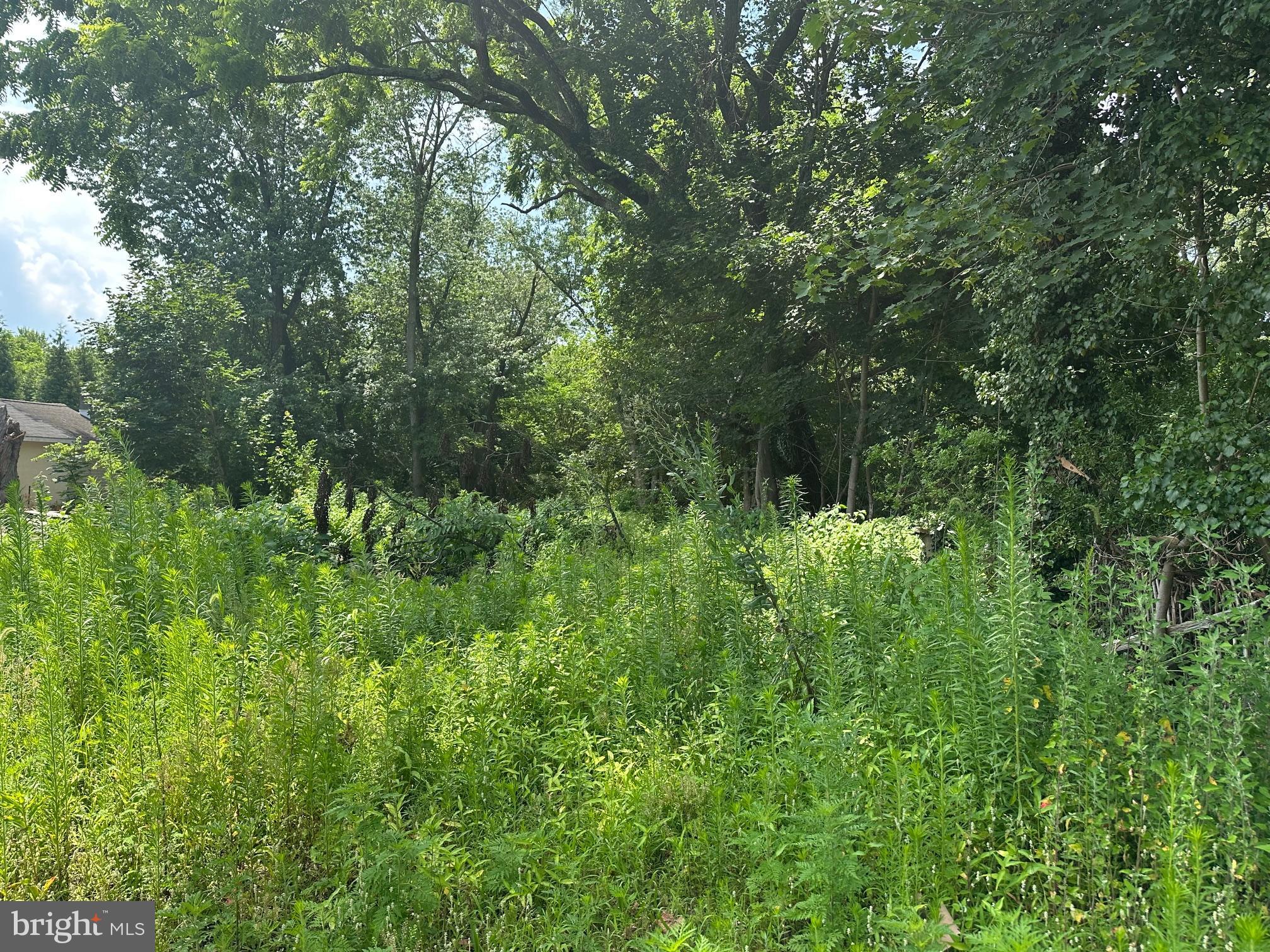 529 Hay Road Hammonton, NJ 08037 - Photo 2 of 2