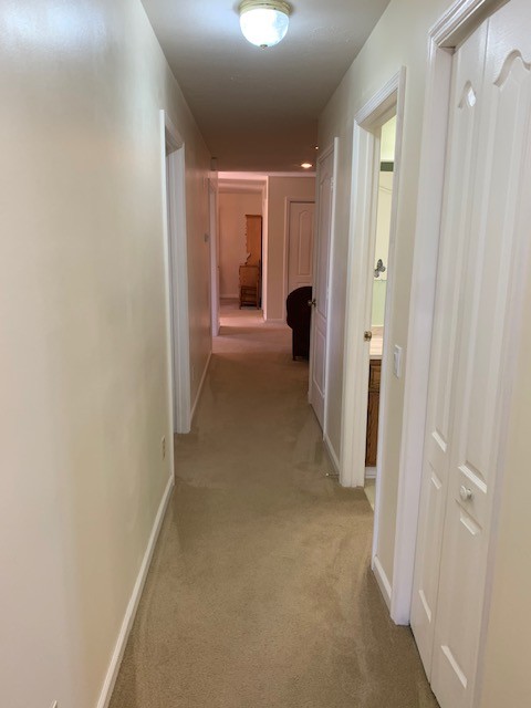 754 Spring Valley Road McMinnville, TN 37110 - Photo 48 of 50 Gallery Image 48