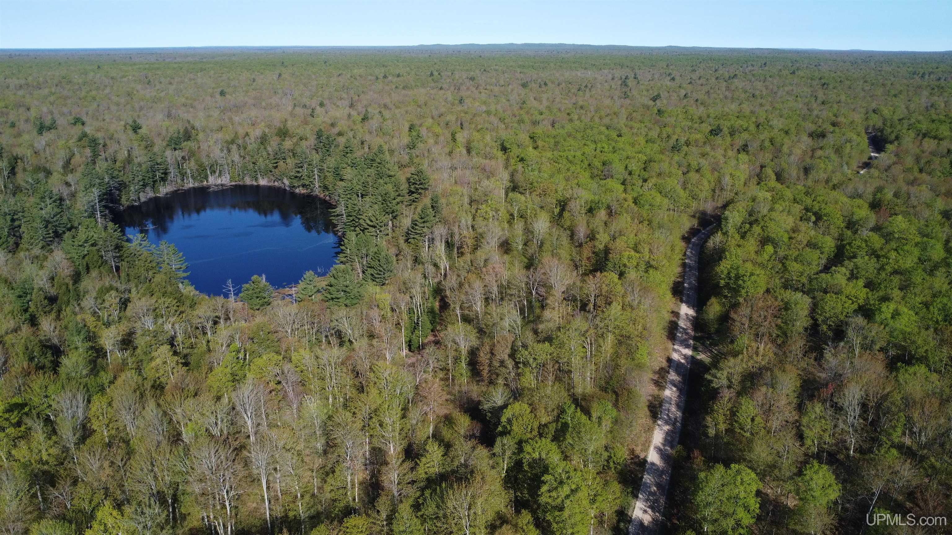 On Wolf Lake Road McMillan, MI 49853 - Photo 16 of 37