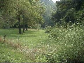 123 Whitaker Road Jonesborough, TN 37659 - Photo 3 of 8 Photo 3