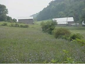 123 Whitaker Road Jonesborough, TN 37659 - Photo 5 of 8 Photo 5