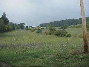 123 Whitaker Road Jonesborough, TN 37659 - Photo 8 of 8 Photo 8