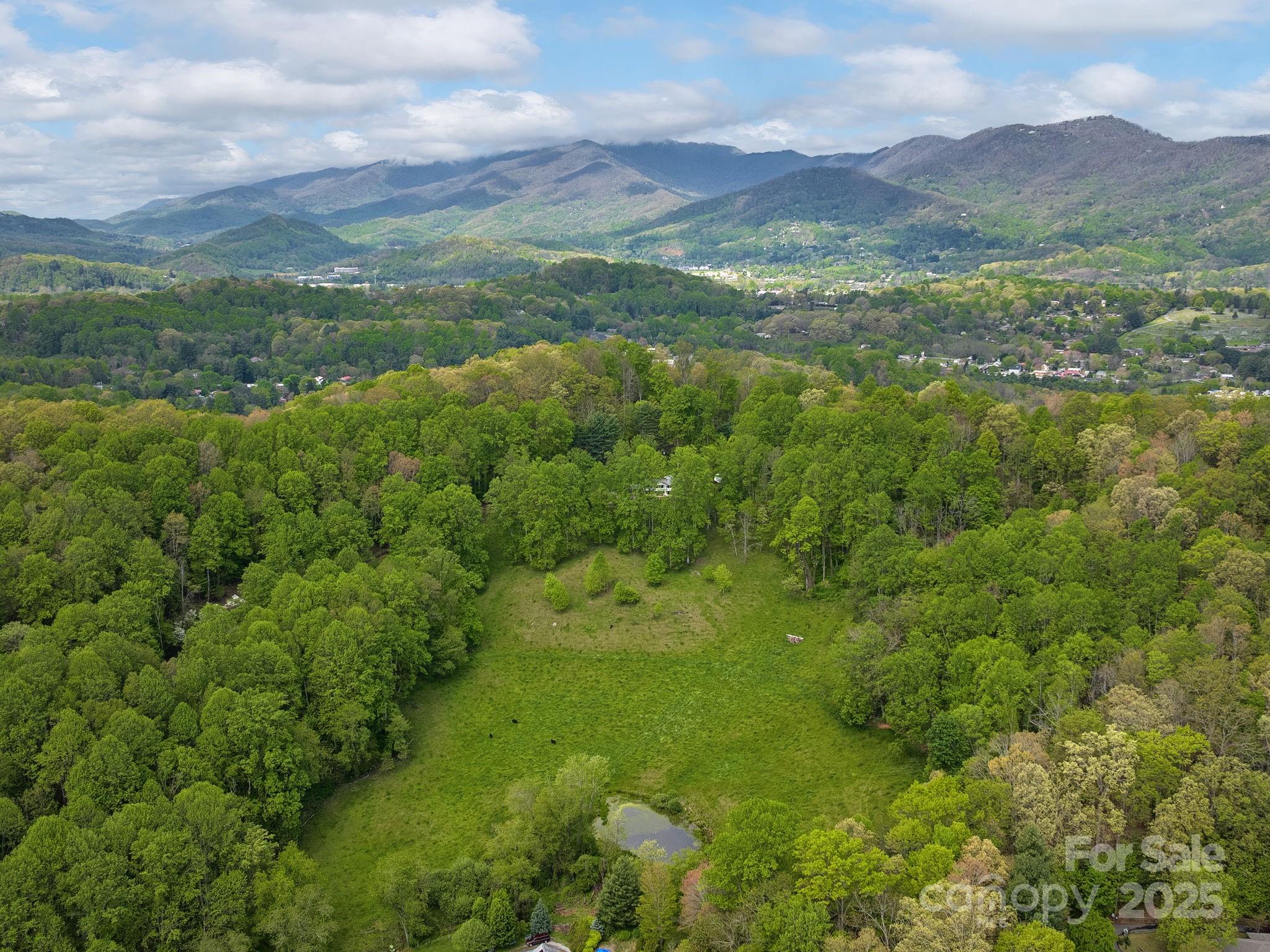 1963 Crymes Cove Road Waynesville, NC 28786 - Photo 46 of 48 Gallery Image 46