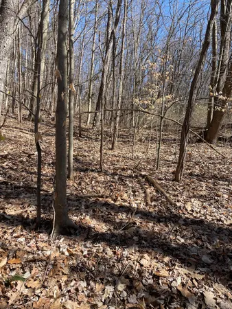 $55,000 | Coates Highway, Manistee, MI 49660