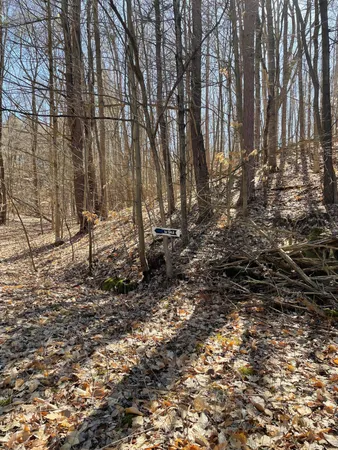 $55,000 | Coates Highway, Manistee, MI 49660