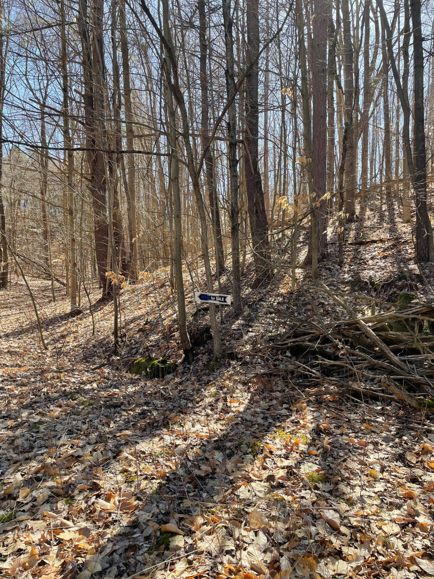 Coates Highway Manistee, MI 49660 - Photo 6 of 13 Arrow signs on easement