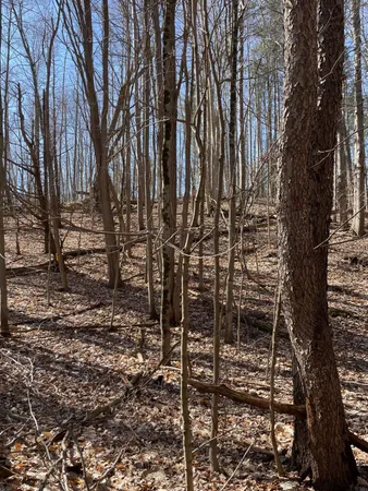 $55,000 | Coates Highway, Manistee, MI 49660