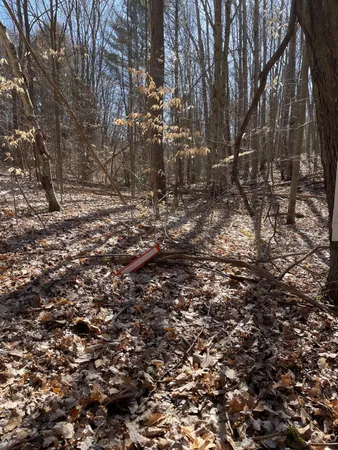 $55,000 | Coates Highway, Manistee, MI 49660