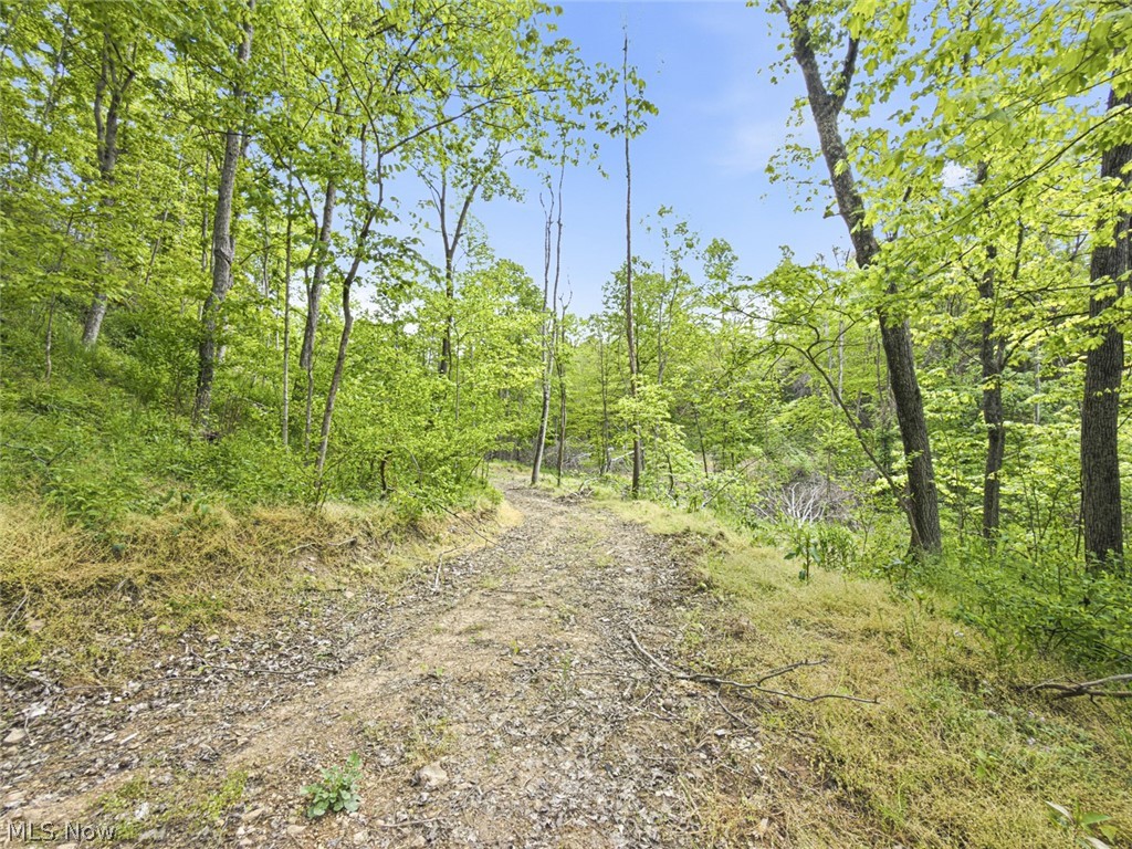69-acres Newlon Road Malta, OH 43758 - Photo 12 of 20