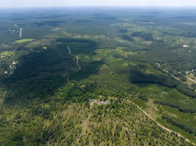 a view of a water fountain