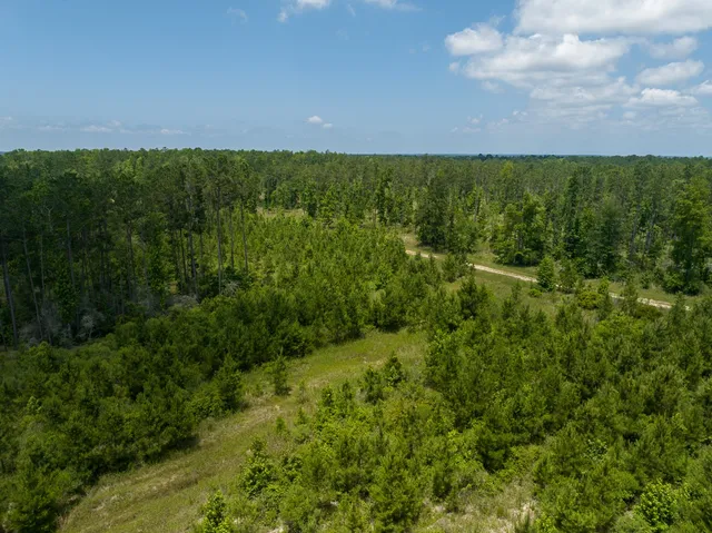 a view of a field with an ocean