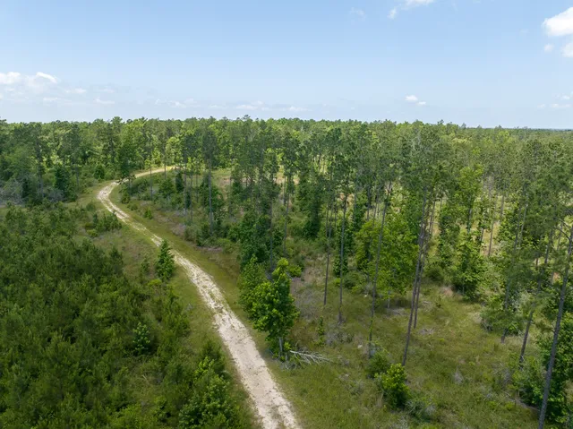 a view of a lush green outdoor space with a lake view