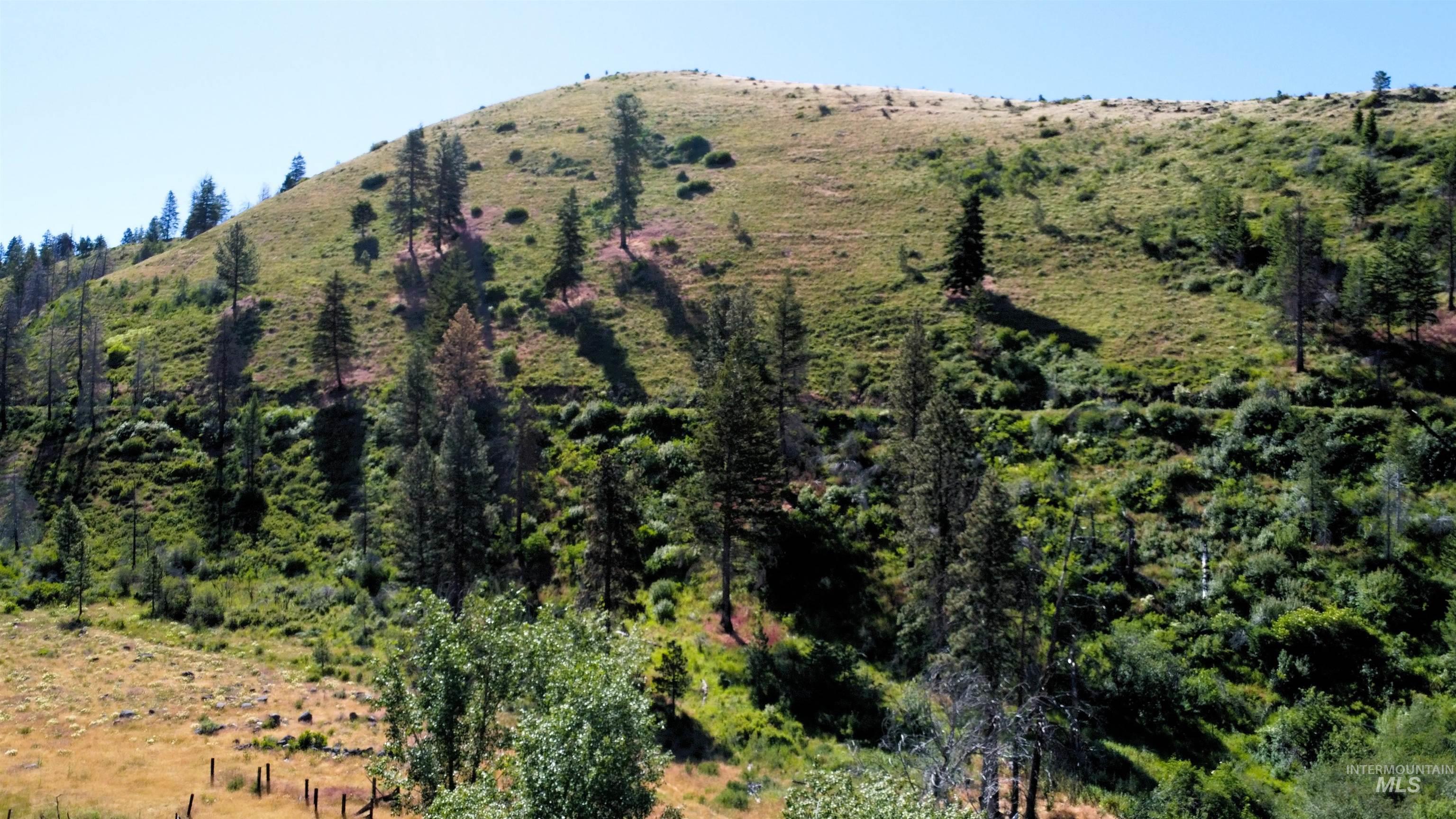Tbd Advent Gulch Road Cambridge, ID 83610 - Photo 27 of 30
