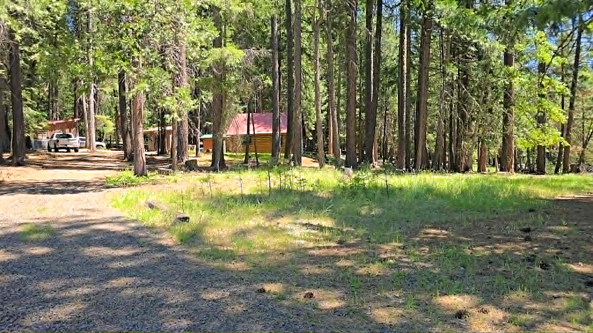 836 Ulrich Road Prospect, OR 97536 - Photo 6 of 47 a view of a yard in front of house