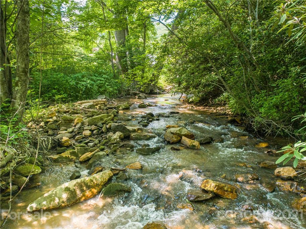62 Dye Leaf Road Fairview, NC 28730 - Photo 3 of 41 Gallery Image 3