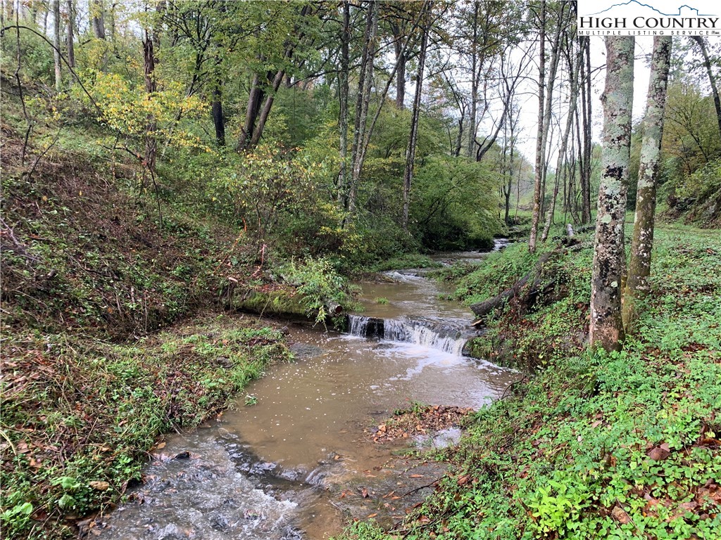 Albert Phipps Road Crumpler, NC 28617 - Photo 1 of 1 Gallery Image 1