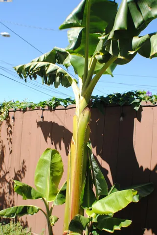 a front view of a house with sitting area