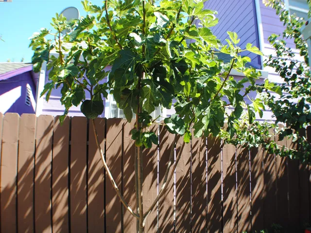 a kitchen with a sink stove and refrigerator