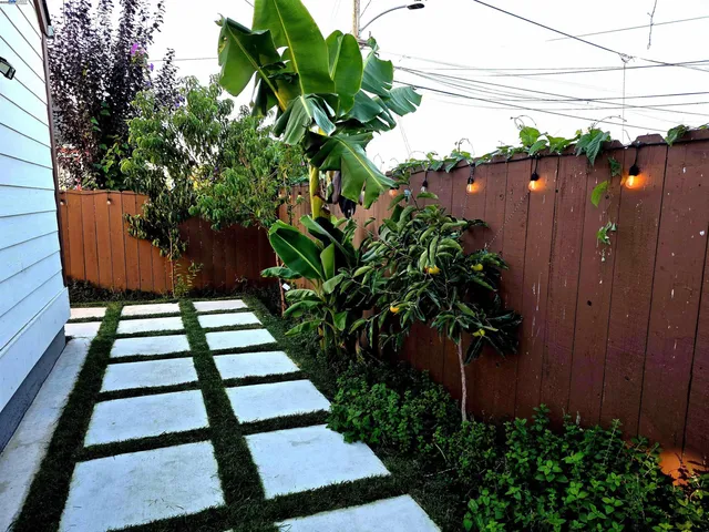 a view of a backyard with potted plants