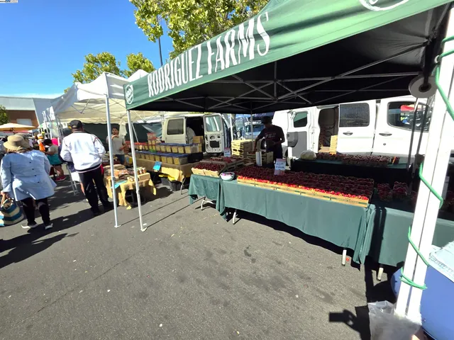 a view of a gate with wooden fence