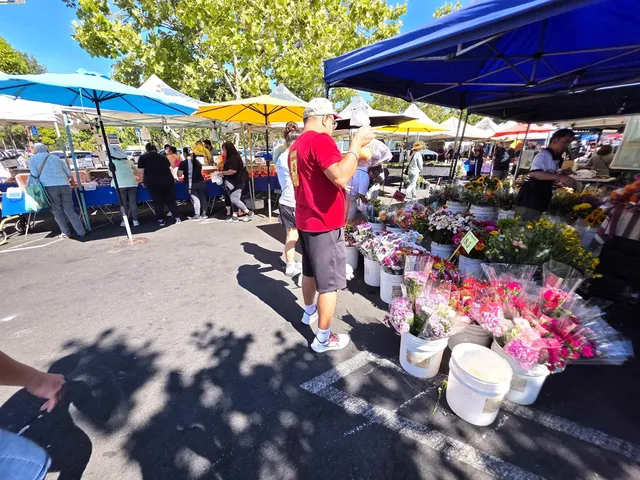 $677,555 | 10468 West Court, Oakland, CA 94603