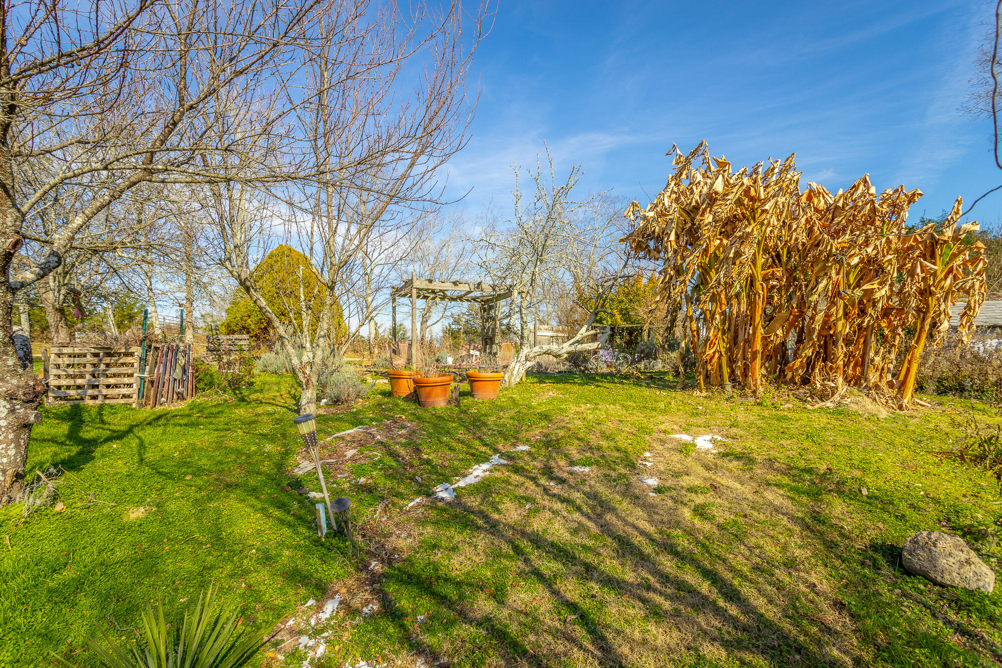 374 Tarvin Road Rock Spring, GA 30739 - Photo 101 of 126 374 Tarvin Rd. HD-94