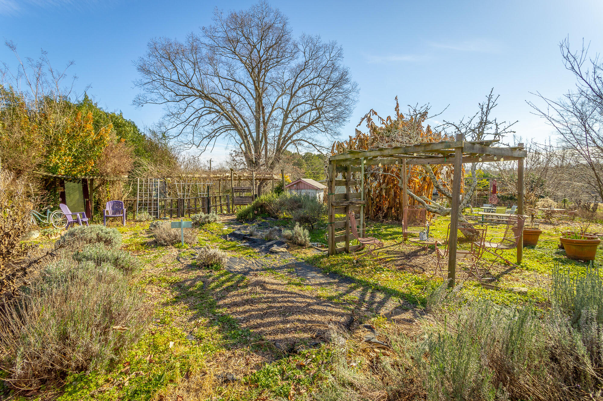 374 Tarvin Road Rock Spring, GA 30739 - Photo 103 of 126 374 Tarvin Rd. HD-96