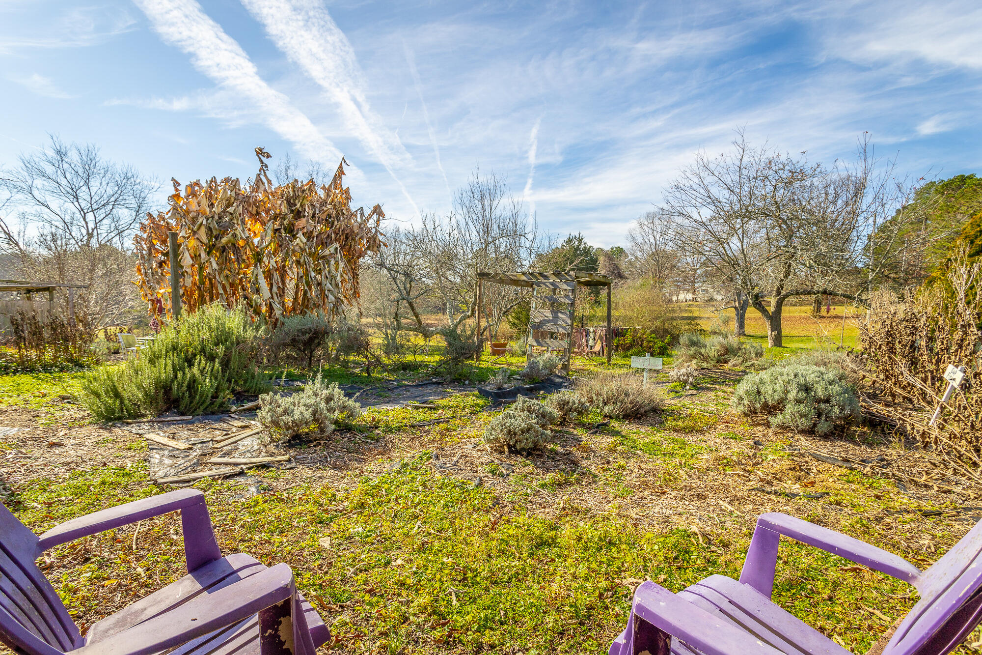 374 Tarvin Road Rock Spring, GA 30739 - Photo 105 of 126 374 Tarvin Rd. HD-98