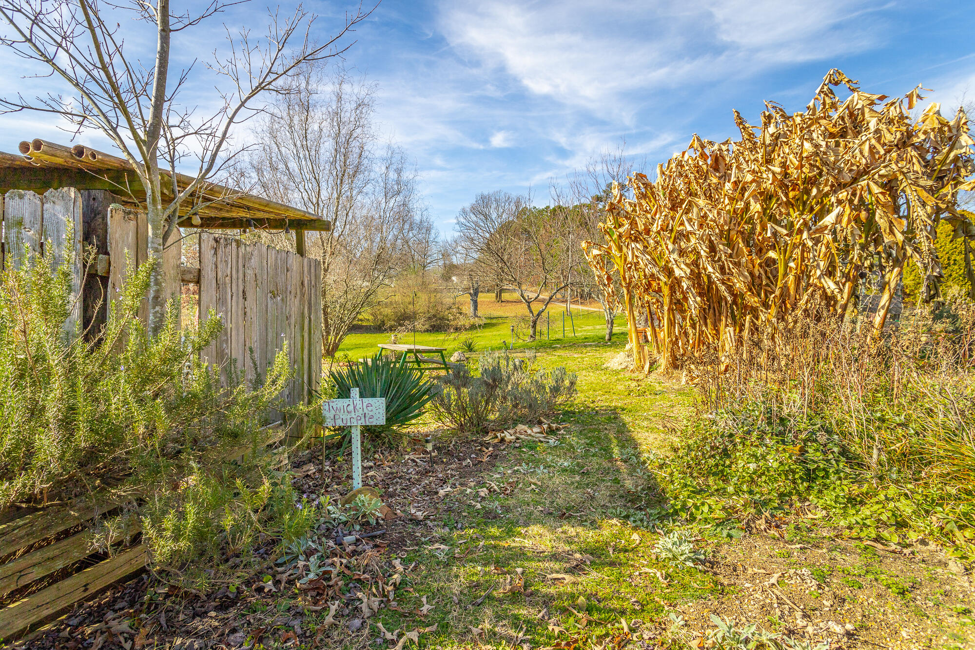 374 Tarvin Road Rock Spring, GA 30739 - Photo 114 of 126 374 Tarvin Rd. HD-107