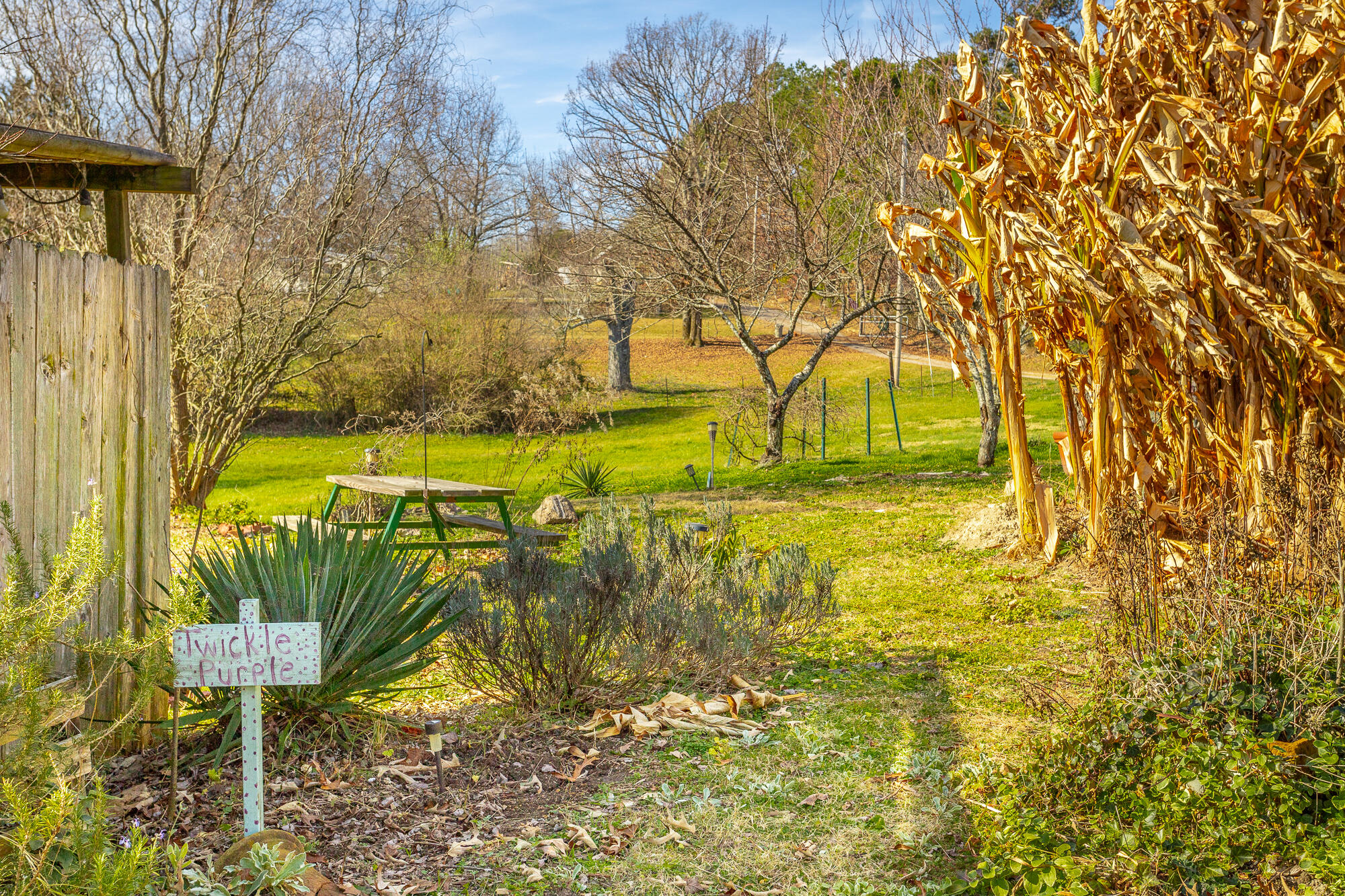 374 Tarvin Road Rock Spring, GA 30739 - Photo 115 of 126 374 Tarvin Rd. HD-108