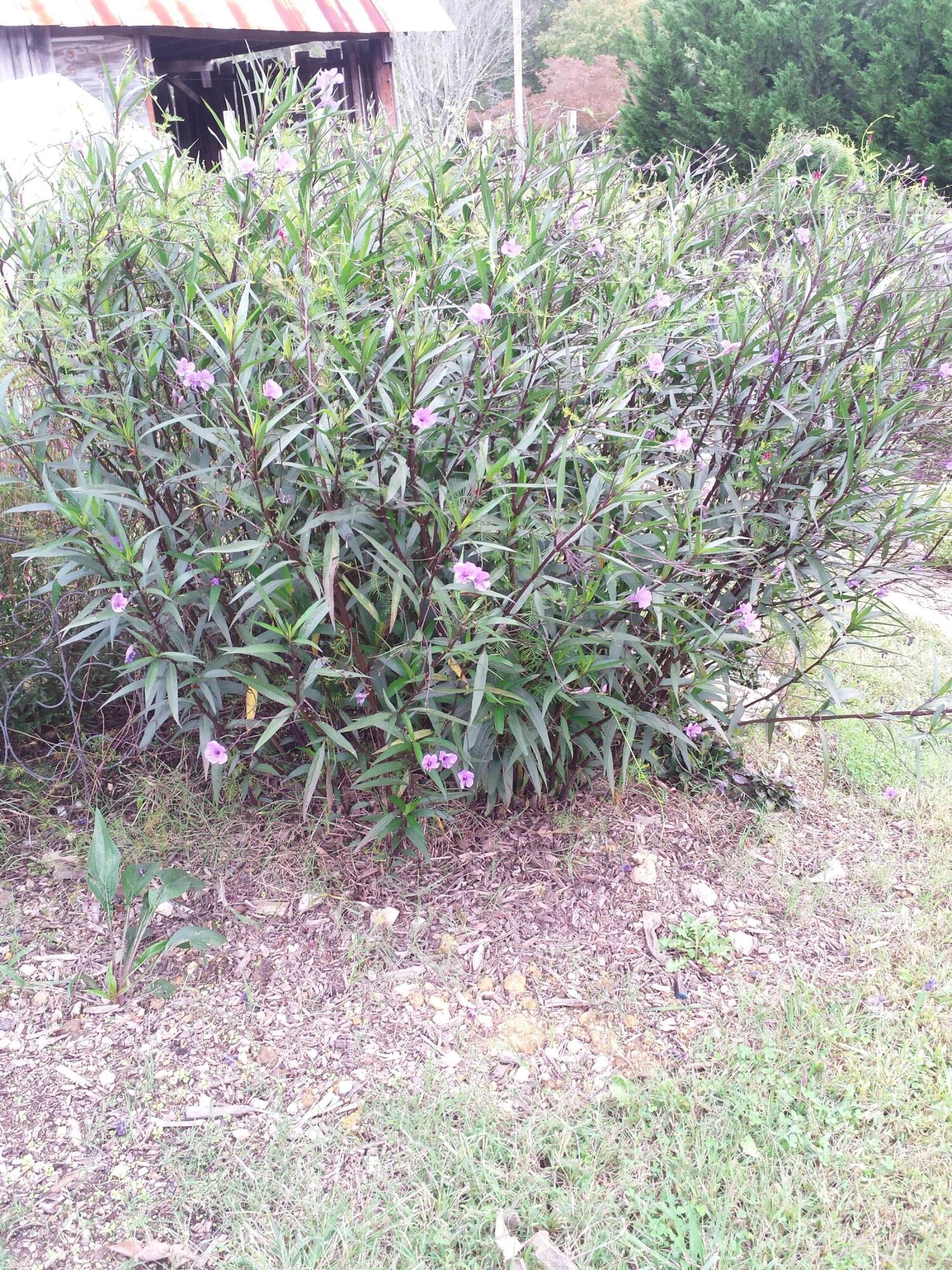 374 Tarvin Road Rock Spring, GA 30739 - Photo 57 of 126 20141016_163551