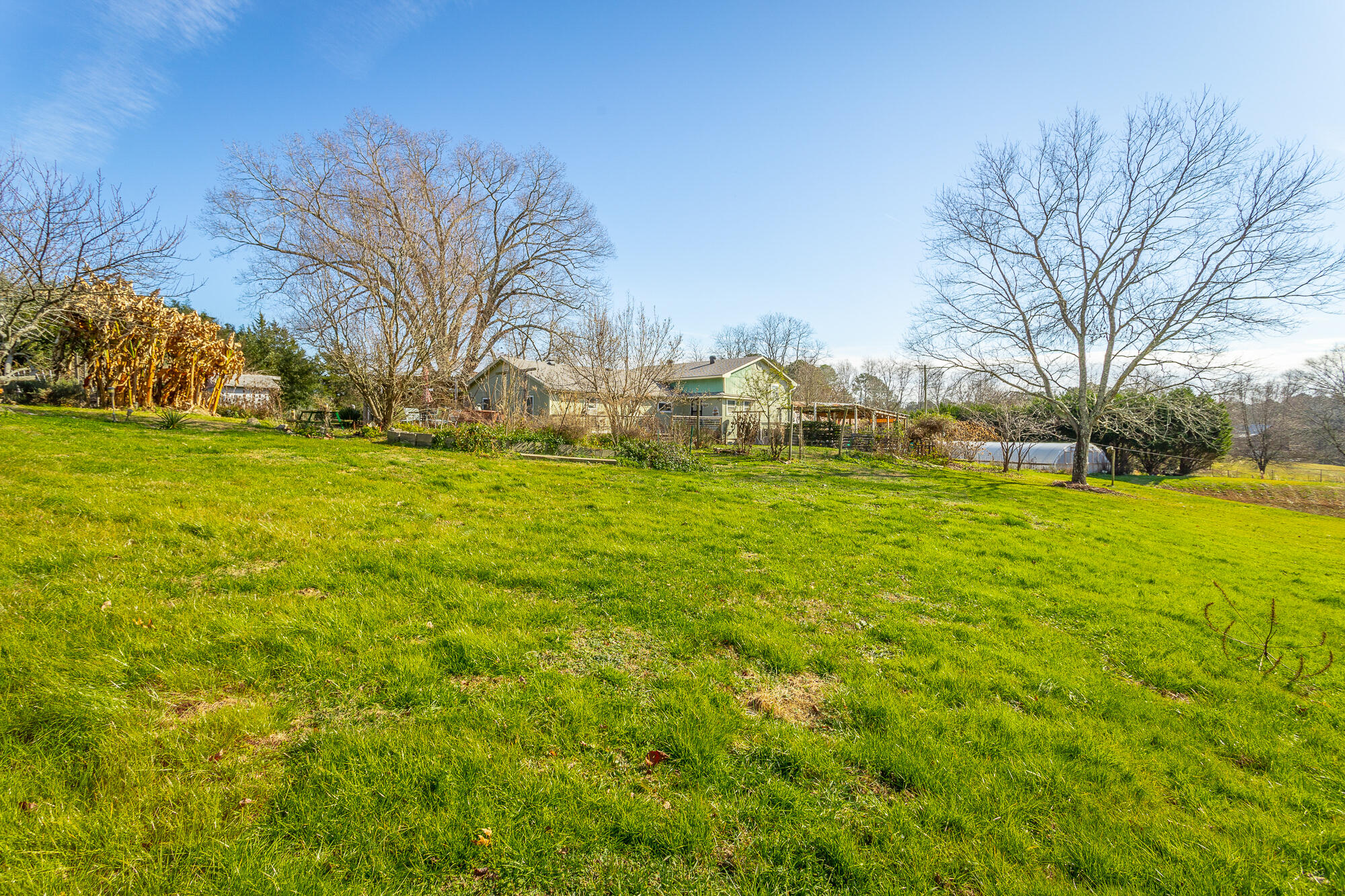 374 Tarvin Road Rock Spring, GA 30739 - Photo 88 of 126 374 Tarvin Rd. HD-81
