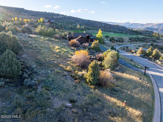 a view of a lot of flowers