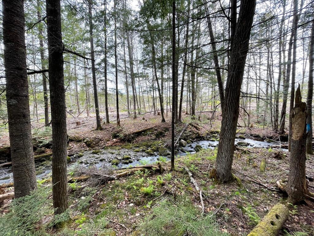 Lot #7 Hammond Brook Road Monson, ME 04464 - Photo 15 of 16